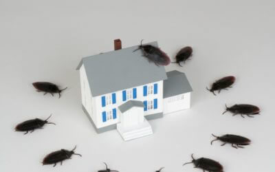 How to Discourage Pests from Getting Inside