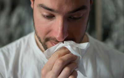 Pests That Trigger Allergies & Asthma