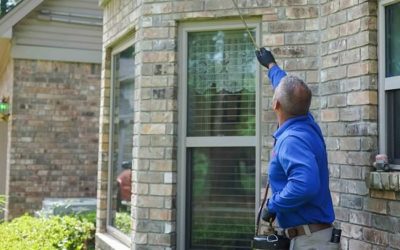 Why Regular Pest Inspections Are Essential for a Healthy Home