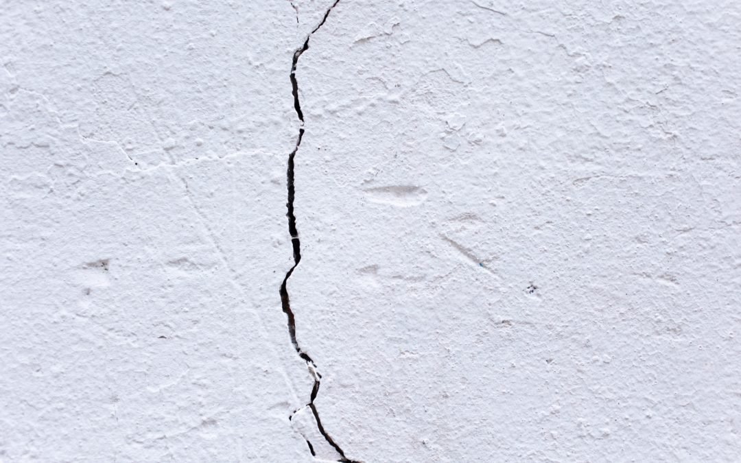 How to find hidden cracks and prevent pests?