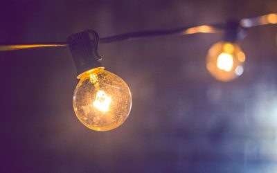 Relationship Between Insects and Light