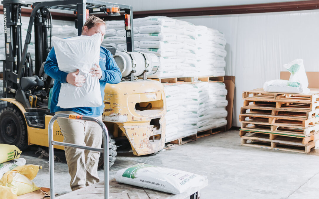 The Importance of Lawn Care in Preventing Spring Pests