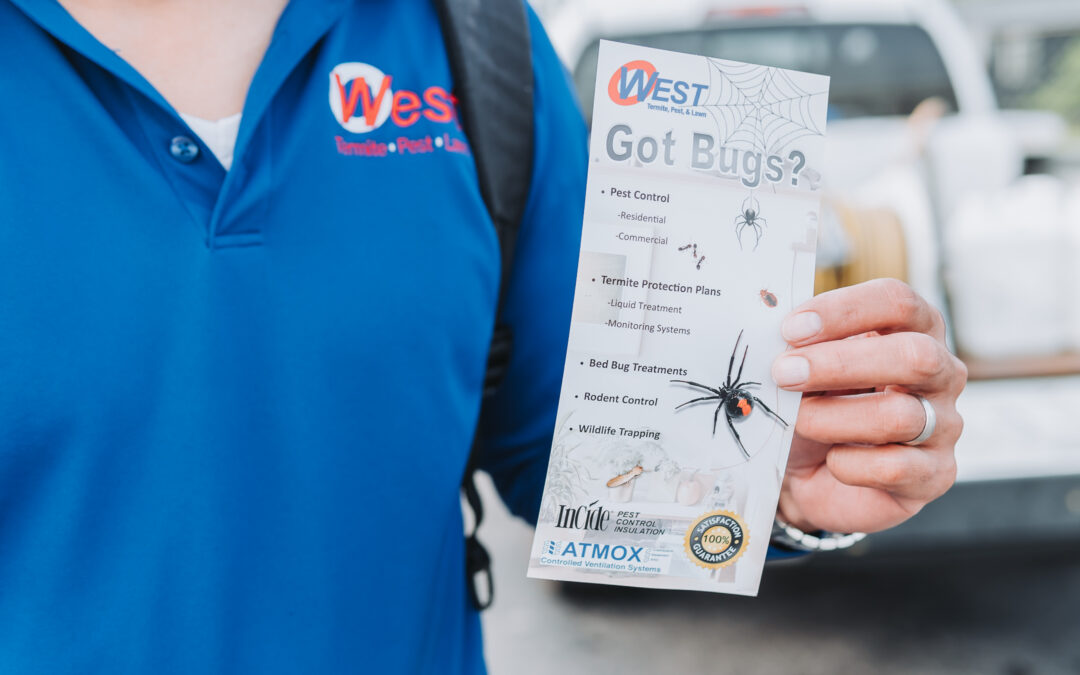 How to Protect Your Arkansas Home from Termites This Spring