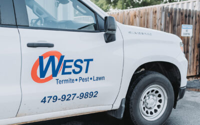 Spring Pest Prevention: 5 Essential Steps for Arkansas Homeowners