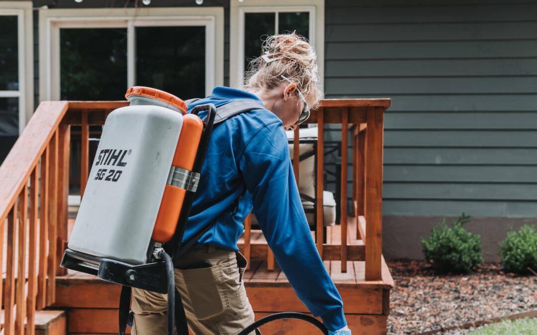 Understanding June Bugs: Impact on Arkansas Lawns and Control Methods