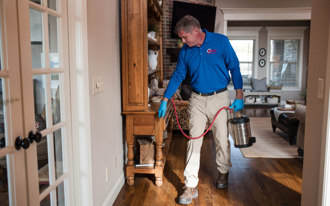 Summer Pest Control: Keeping Your Arkansas Home Bug-Free