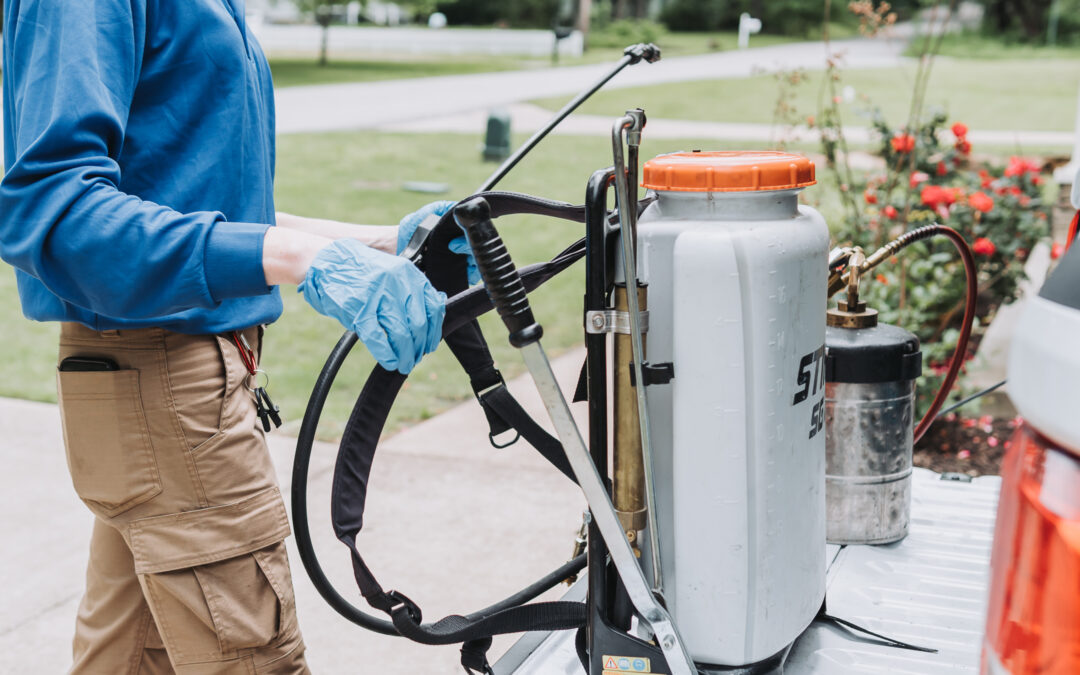 Common Mistakes That Invite Termites Into Your Home