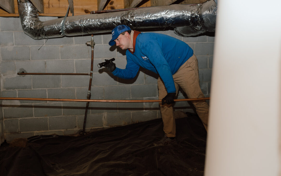 DIY Home Inspection Checklist: Spotting Early Termite & Pest Signs