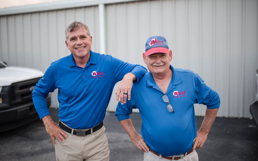 Why Commercial Properties Need Year-Round Termite Protection