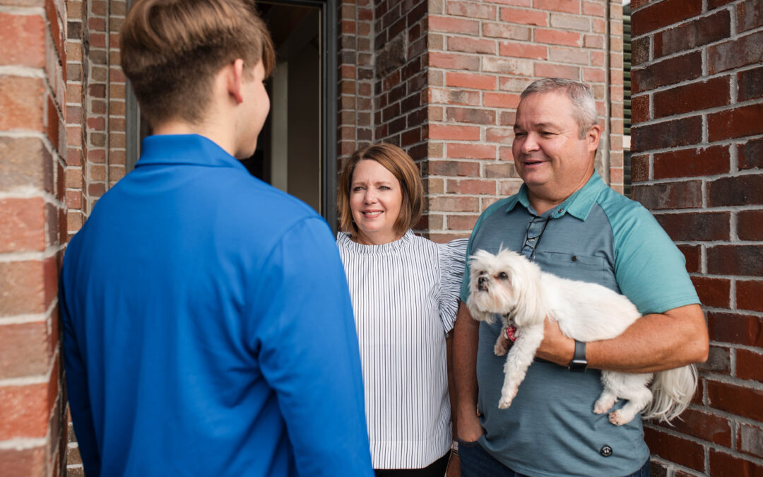 What Happens If You Ignore a Termite Problem