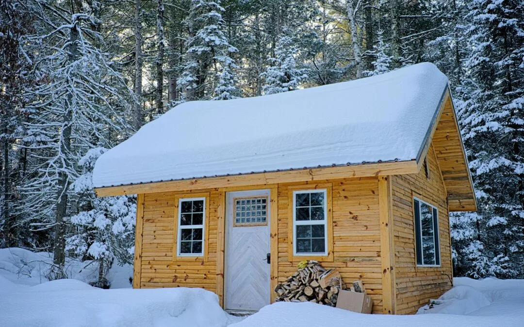 Sealing Entry Points: Weatherproofing and Pestproofing Your Home