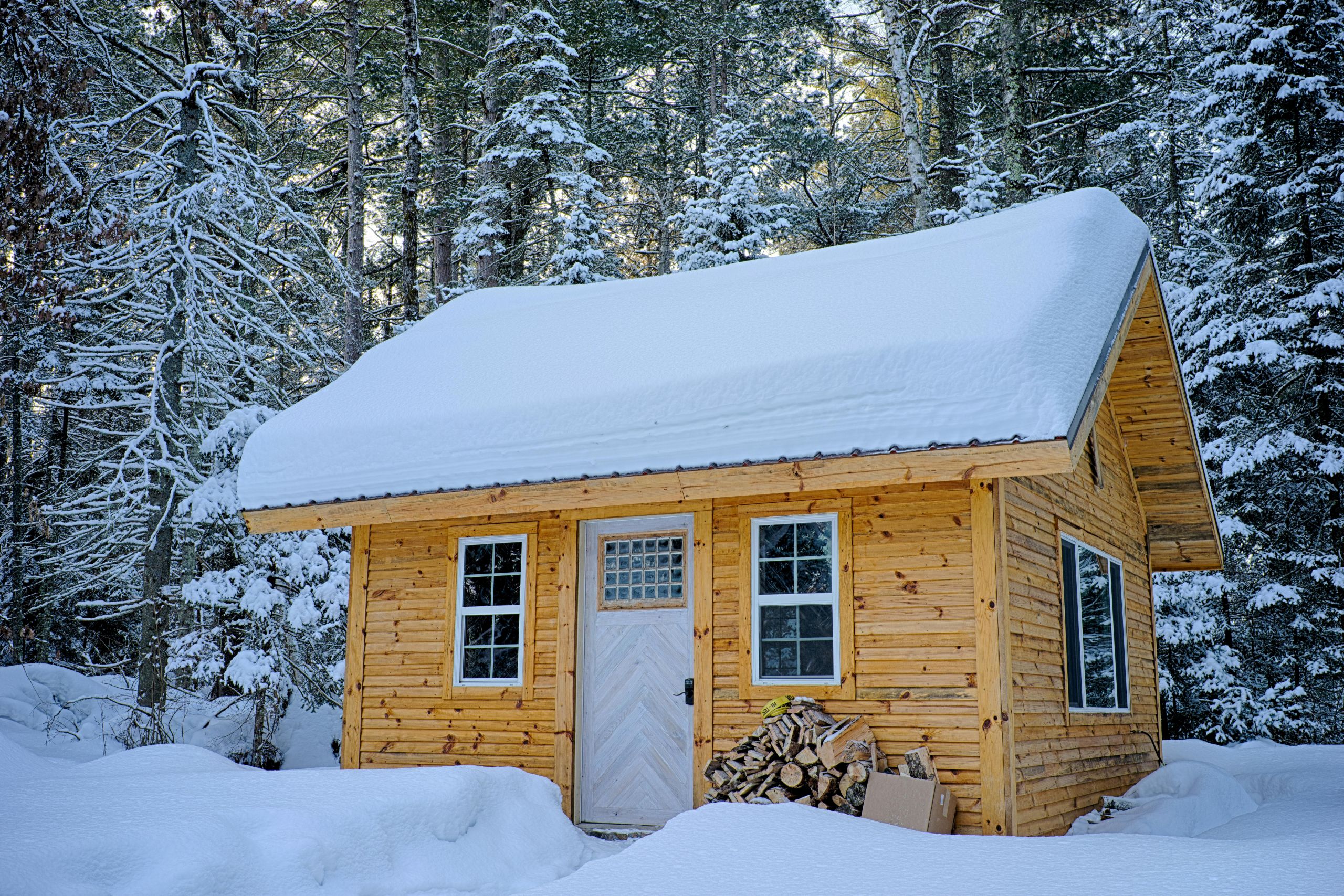 A small wooden cabin with a snow-covered roof sits in a snowy forest. Piles of firewood, carefully stacked for pestproofing your home, rest by the door. Tall evergreens and blankets of snow surround this cozy winter retreat.