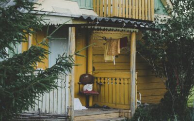 Why Leaves and Debris Increase Pest Risk Near Your Foundation