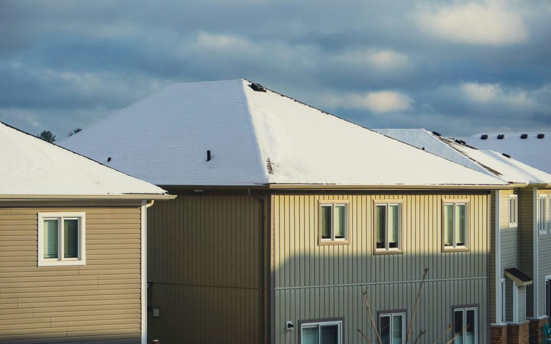Why Roof Leaks Invite Winter Pests