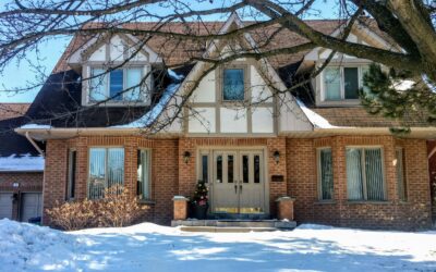 Winter Termite Activity: Why Termites Don’t Fully Hibernate