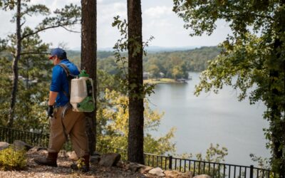 Early Signs of Spring Pest Activity