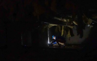 How Heating Systems Can Spread Pests Indoors