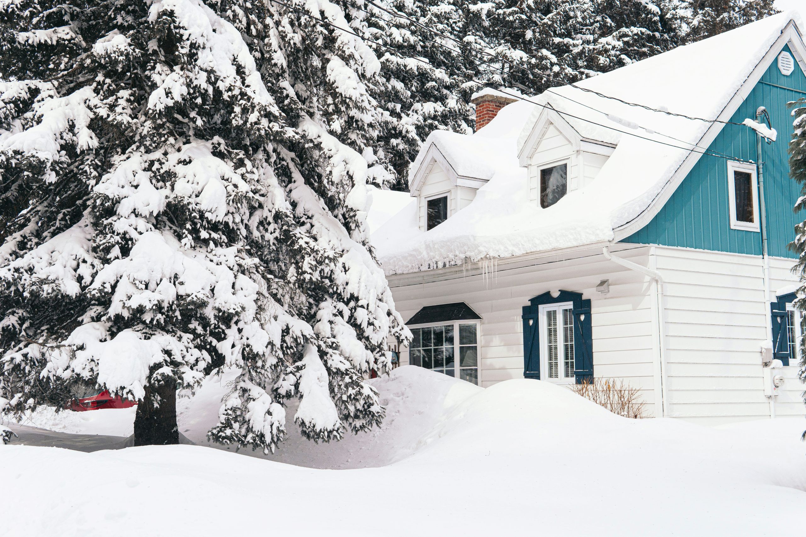 Planning Your New Year Home Pest Prevention A house with blue and white siding is surrounded by deep snow, with snow-covered evergreens and a thick blanket of snow on the roof—an ideal setting to consider new year pest prevention for a peaceful winter scene.