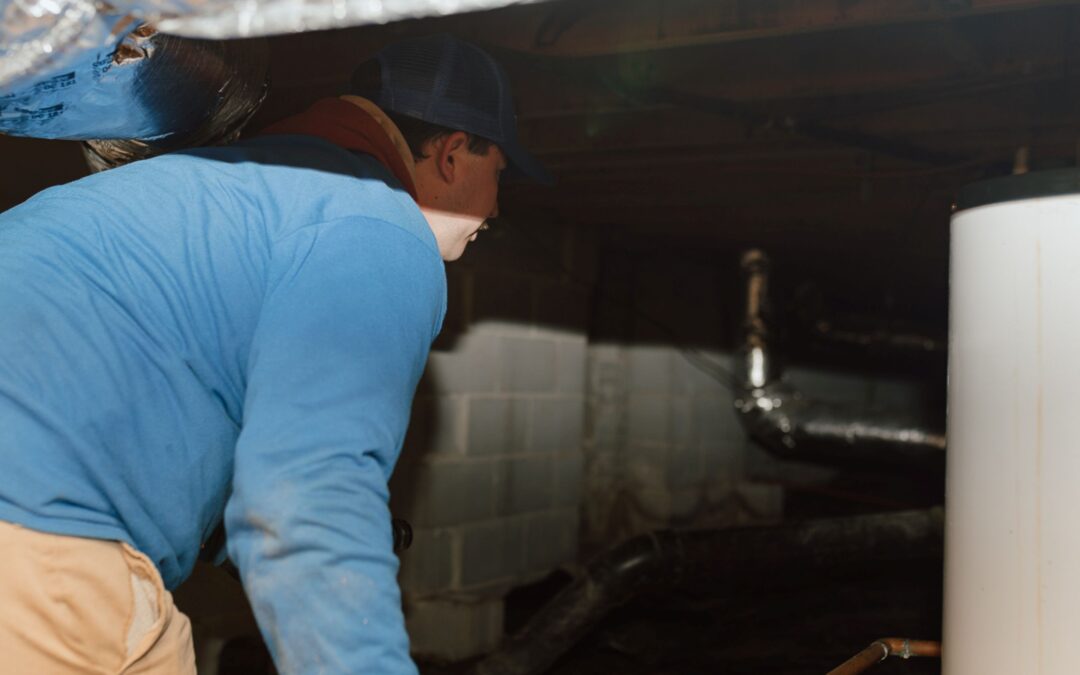 Why Crawl Spaces Are Vulnerable to Winter Pests