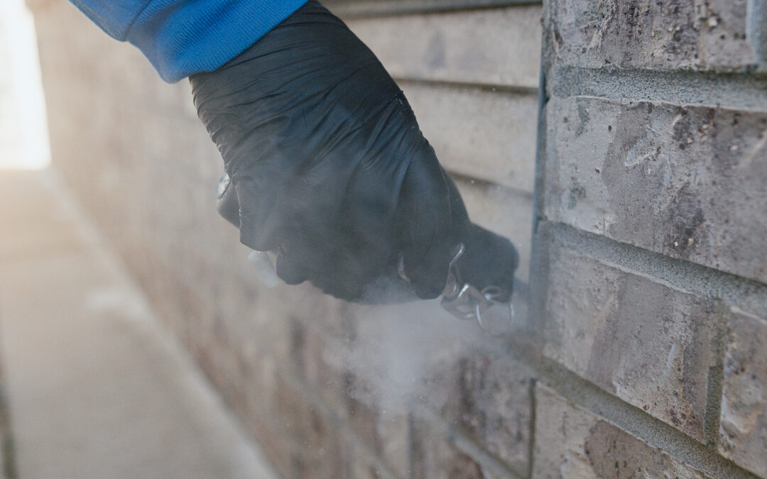Early Spring Termite Activity in Arkansas