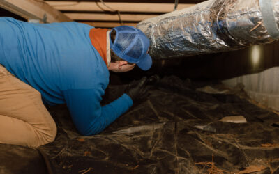 Preventing Cockroach, Silverfish, and Termite Problems