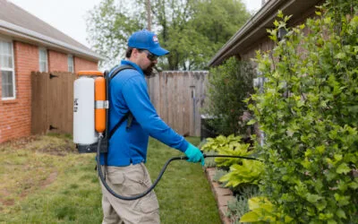 Protected: Best Pest Control Companies in Arkansas: A 2026 Comparison Guide
