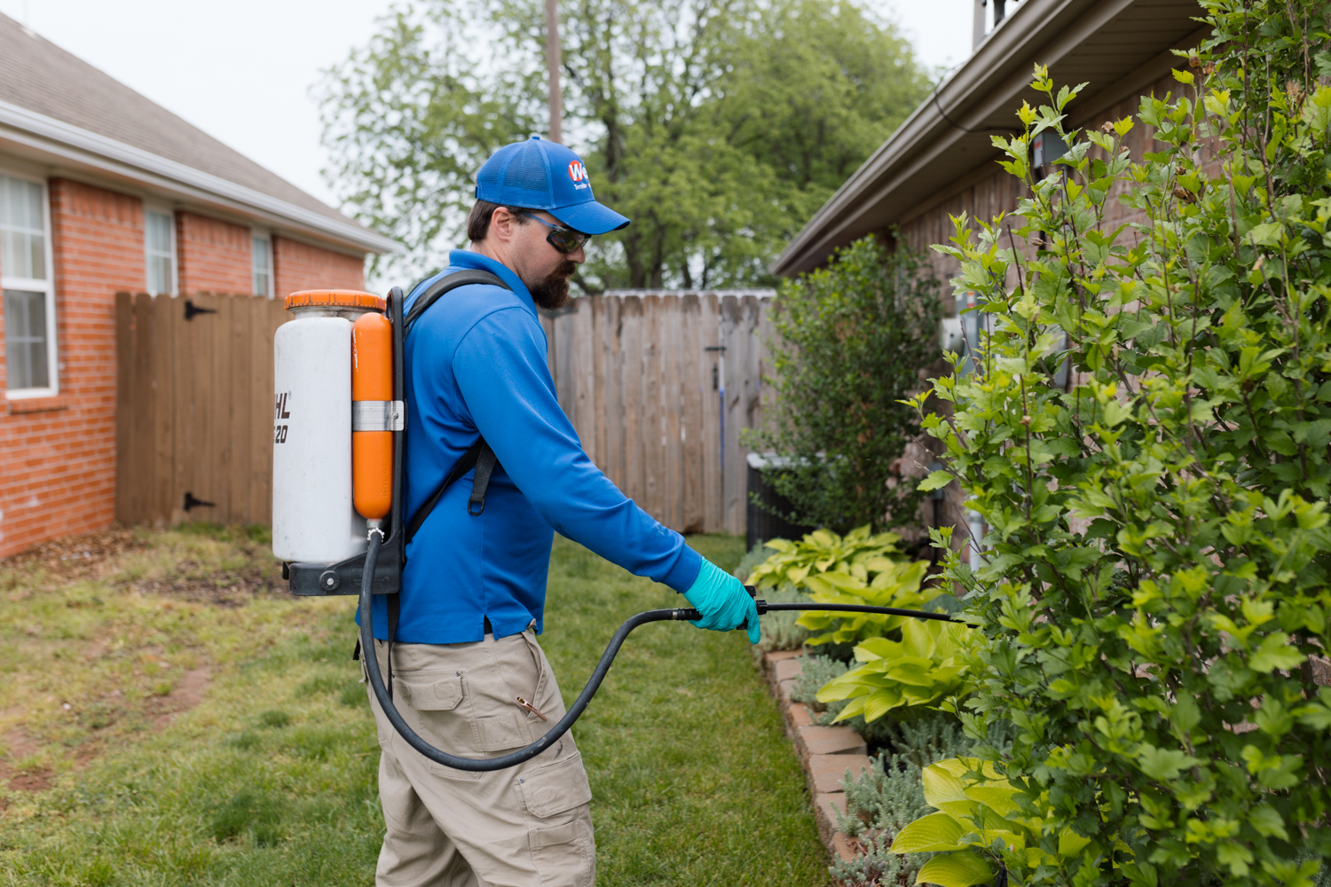 A person wearing a blue shirt, cap, gloves, and safety glasses sprays plants in a garden with a backpack sprayer near a house on a cloudy day.