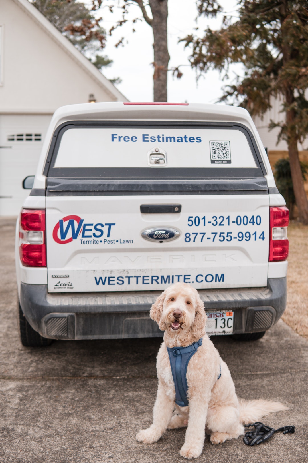 Post #07 A fluffy, light-colored dog wearing a harness sits on a driveway in front of a white pest control truck with company info and phone numbers on the tailgate.