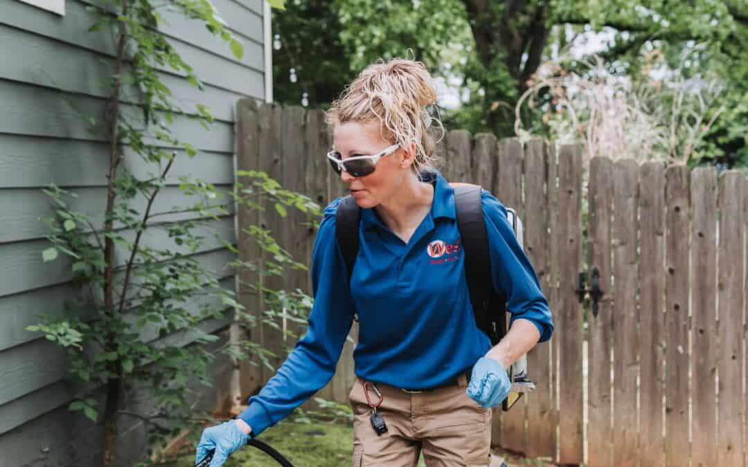 Spring Pest Control Checklist