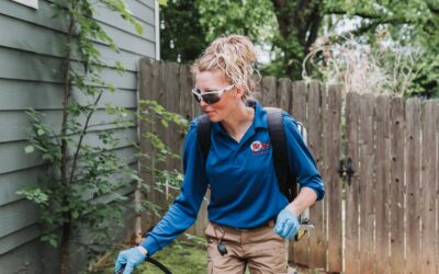 Spring Pest Control Checklist