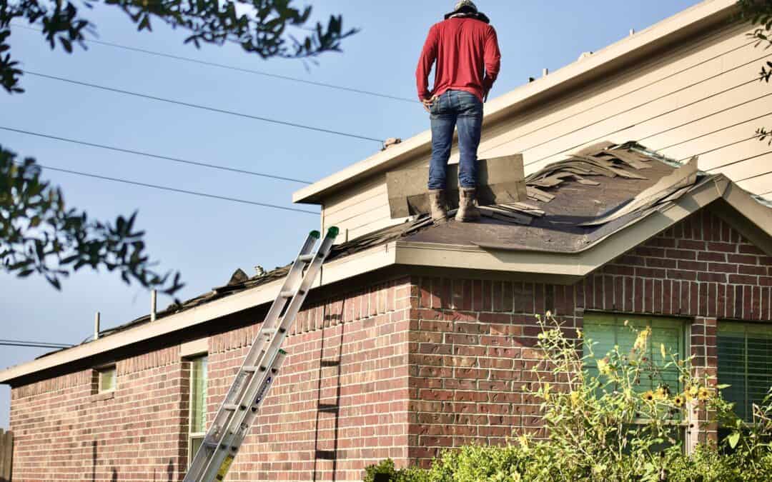 Why Gutters and Downspouts Affect Termite Risk