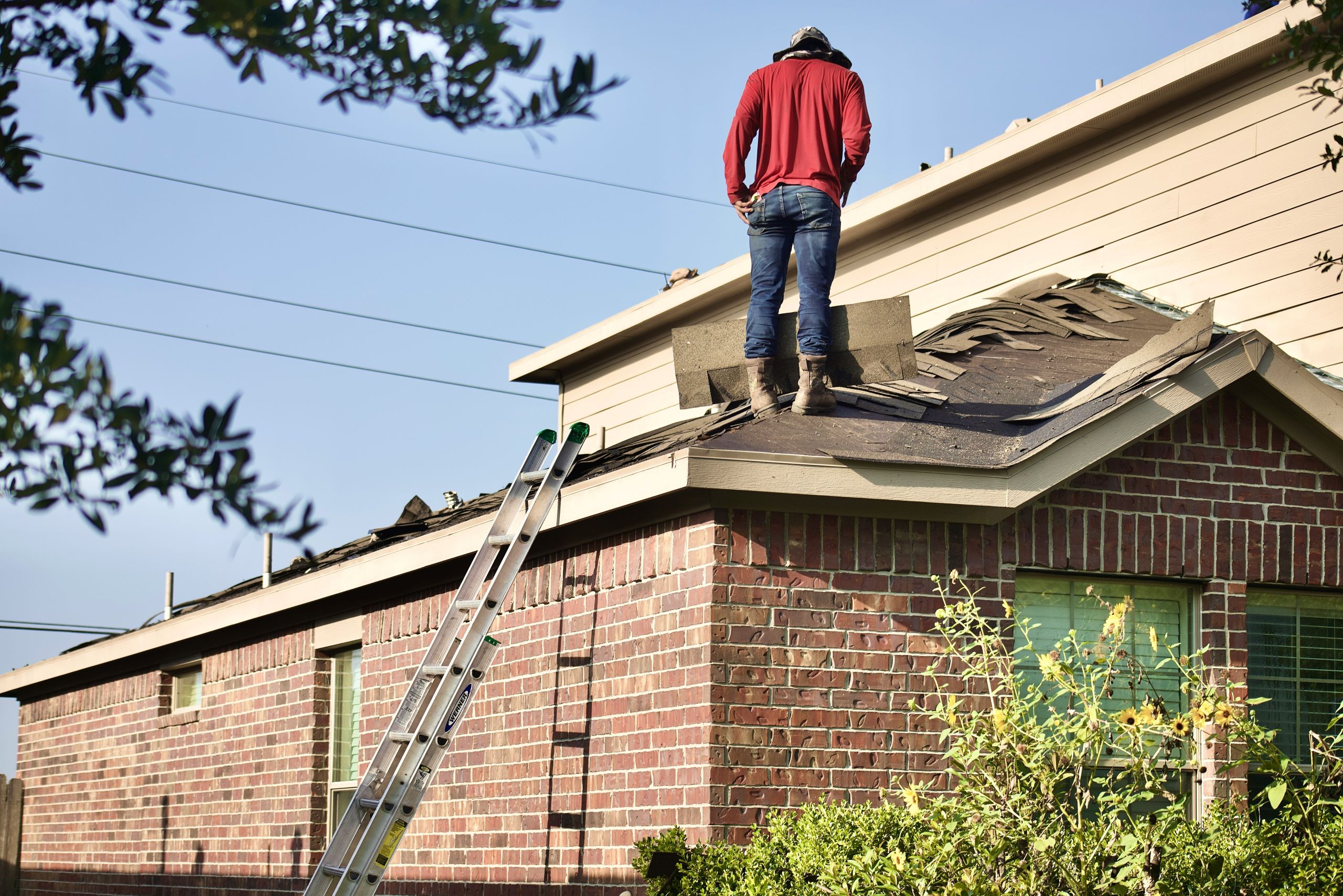 A person stands on the roof of a brick house, working on repairs with roof shingles—maintenance that can help reduce termite risk. A ladder leans against the side, some shingles are removed, and trees partially frame the image.