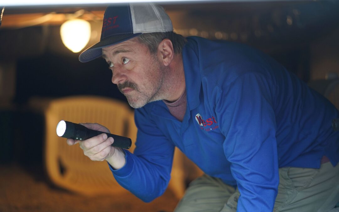 How to Keep Pests Out During Spring Cleaning