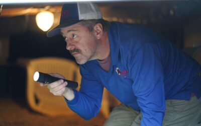 How to Keep Pests Out During Spring Cleaning