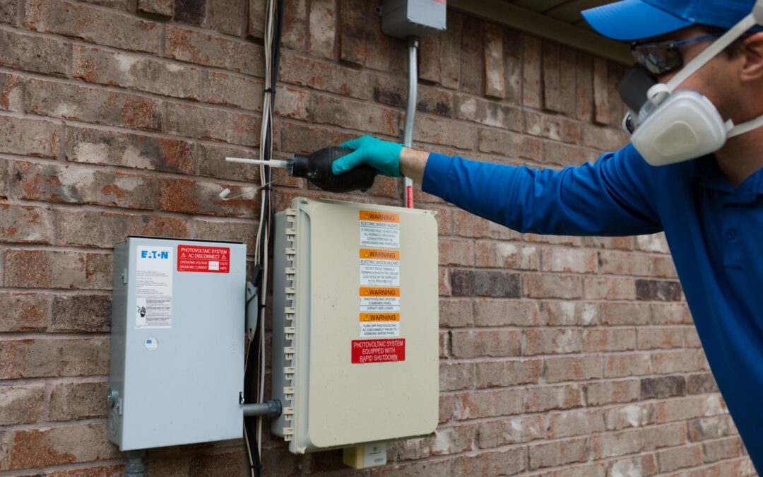 Why Preventative Pest Control Saves Money Long Term