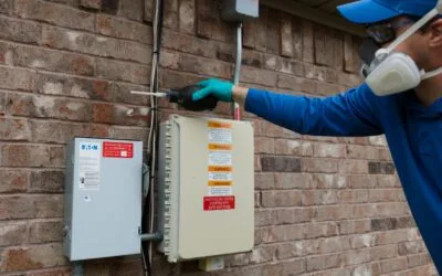 Why Preventative Pest Control Saves Money Long Term