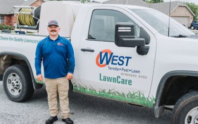 Summer Lawn Fungus: Early Signs Homeowners Should Never Ignore