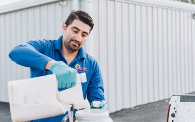 Termite Risk Factors Every Homeowner Should Know