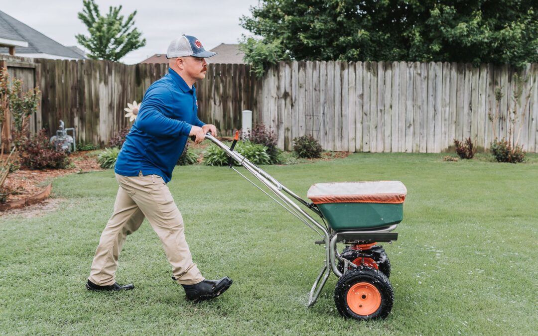 Why Your Lawn Looks Patchy in Late Spring