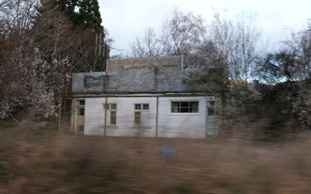 How Fast Can Termites Damage a Home?