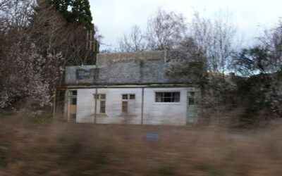 How Fast Can Termites Damage a Home?