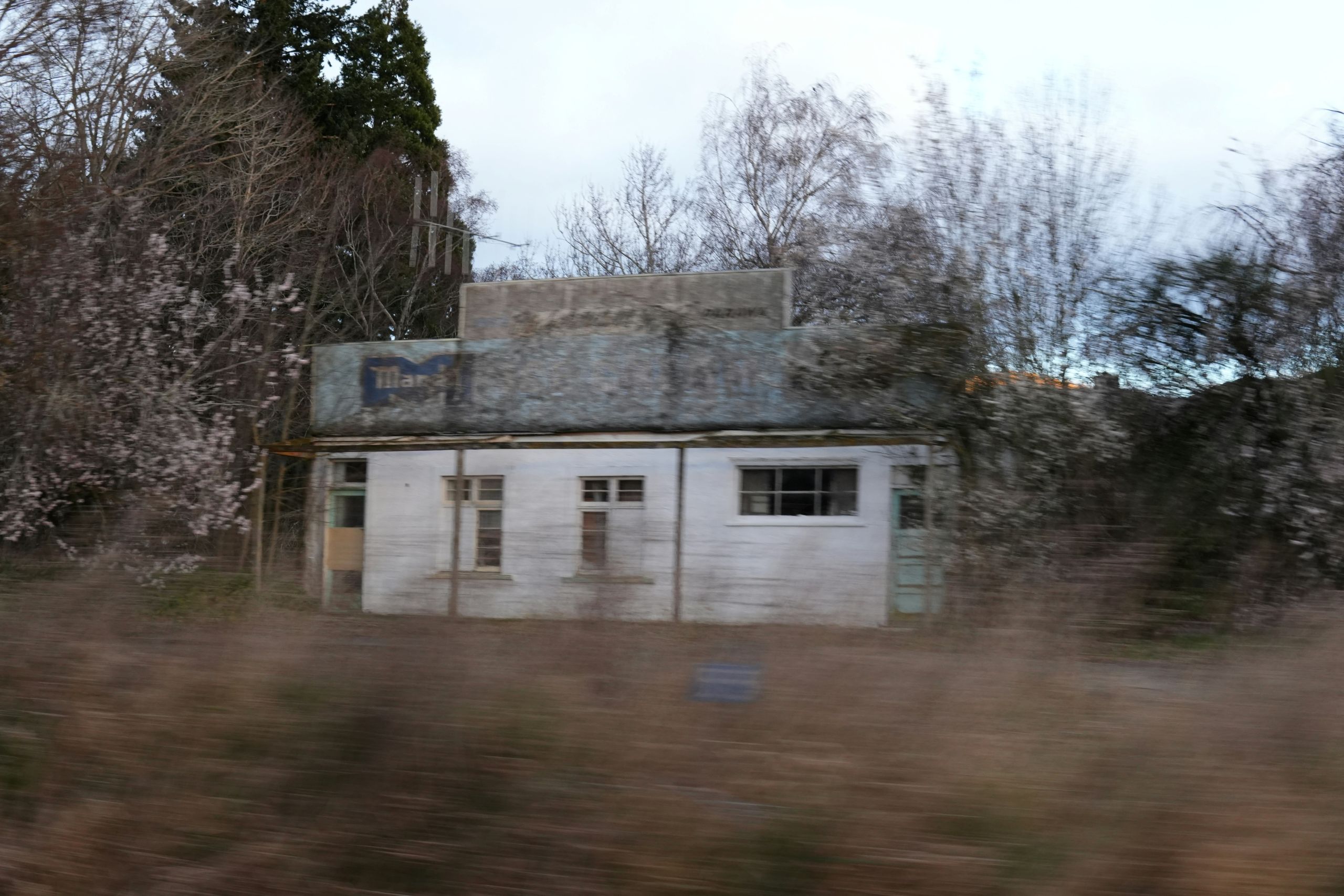 How Fast Can Termites Damage a Home A weathered, abandoned building with peeling paint sits in front of overgrown bushes and leafless trees, under a cloudy sky.