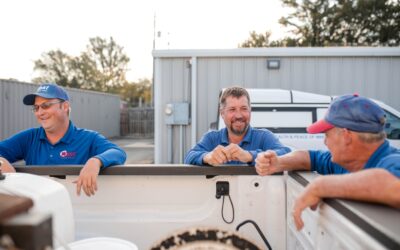How Summer Heat Changes Pest Behavior Around Your Home