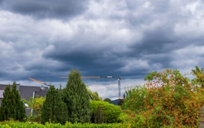 How Summer Storms Can Increase Pest Activity
