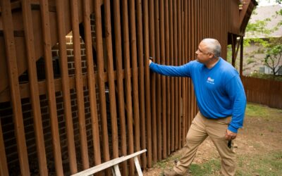 Why Late Summer Is Still Prime Time for Termite Activity