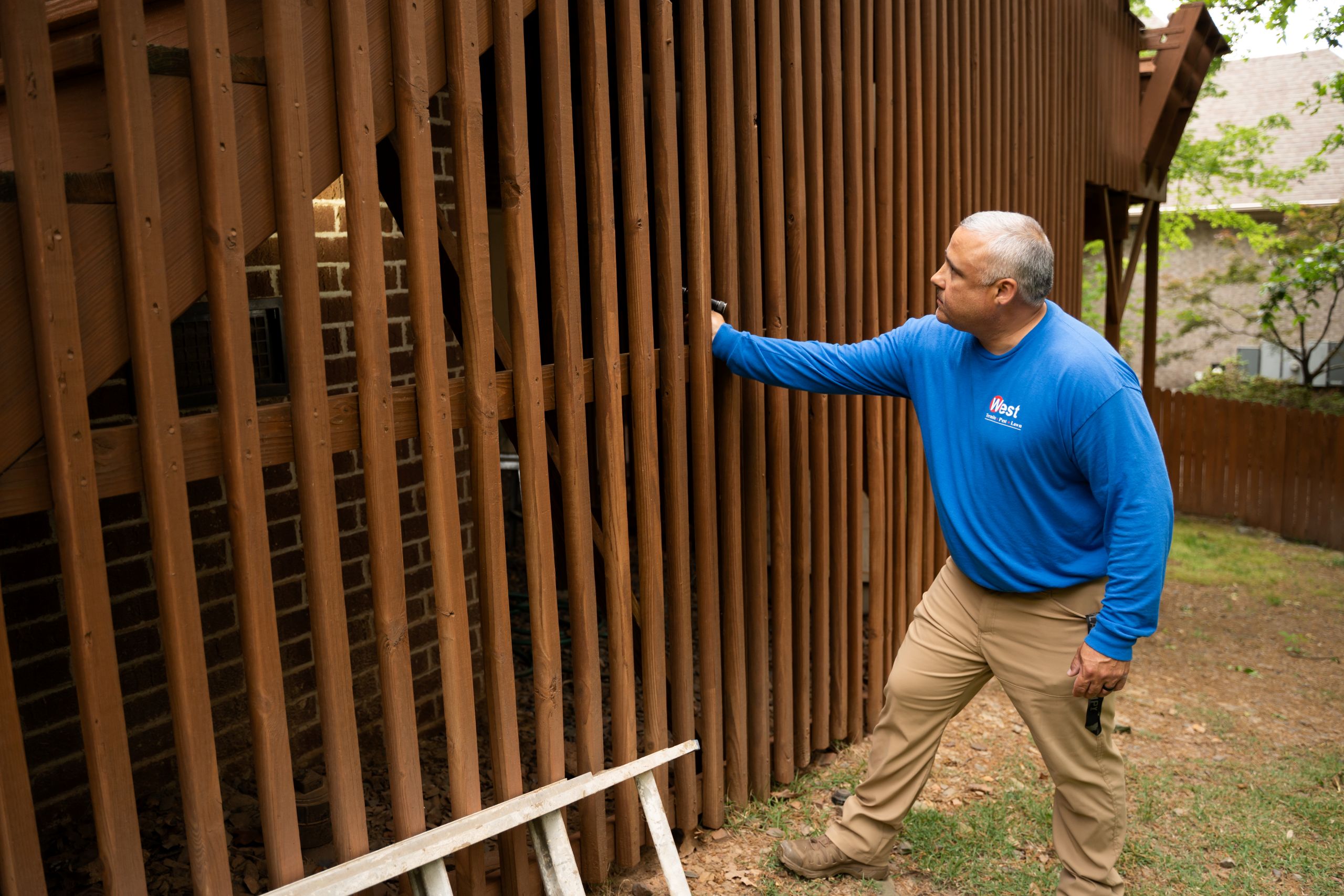 termite activity A man in a blue shirt inspects a wooden fence next to a house, holding a flashlight, carefully checking for signs of termite activity. A white ladder rests on the ground nearby. Trees and a neighboring house are visible in the background.