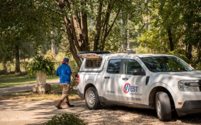 Why Lawn Care Matters Before Cooler Weather Arrives