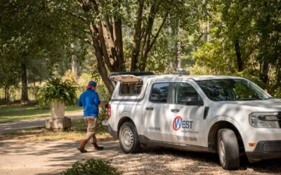 Why Lawn Care Matters Before Cooler Weather Arrives