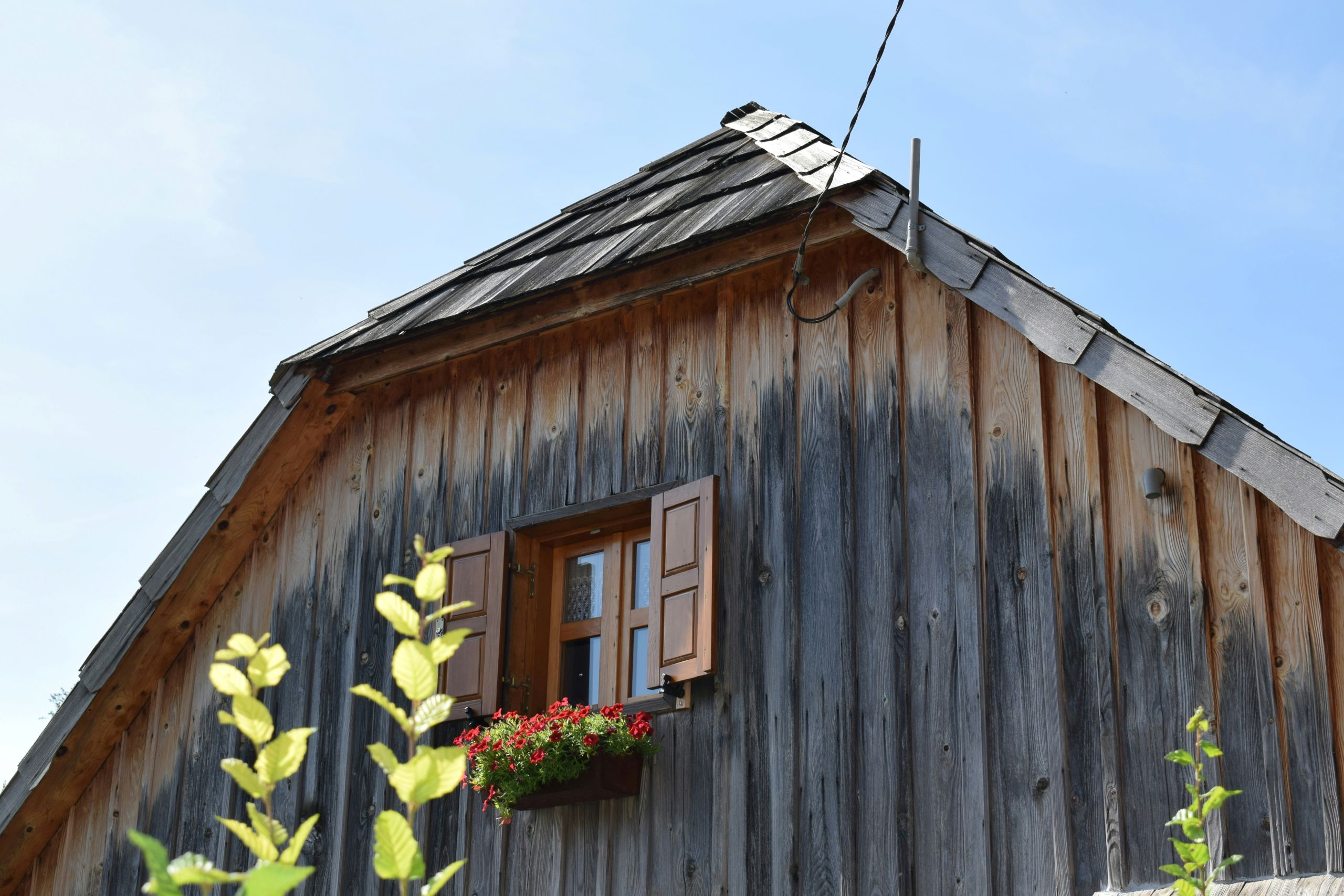 A wooden house exterior with a small window, open shutters, and a window box filled with red flowers.